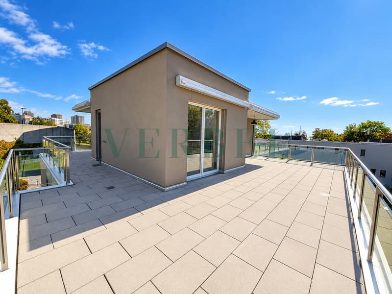 Attique lumineux avec magnifique terrasse (10)