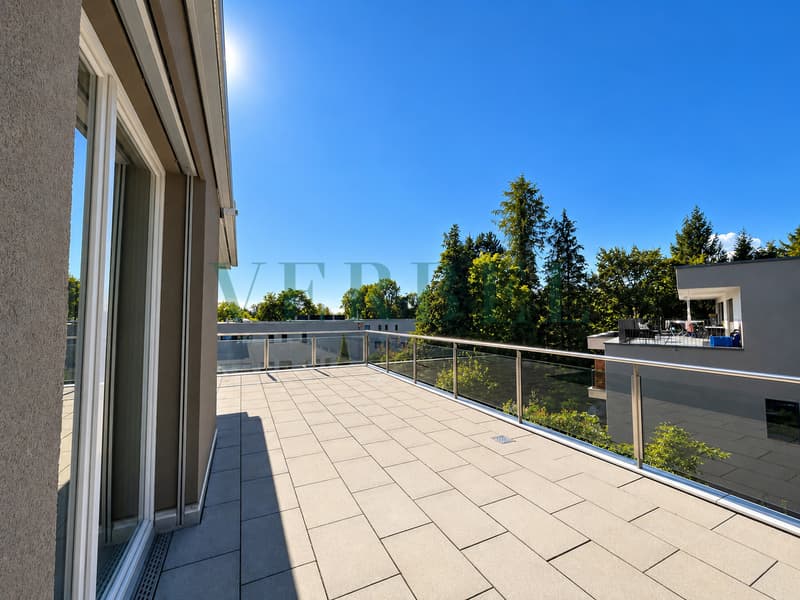 Attique lumineux avec magnifique terrasse (4)