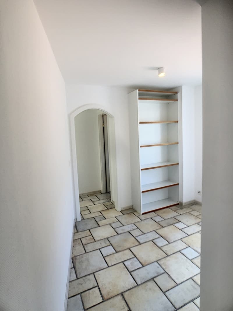 Prächtige 5.5-Zimmer-Wohnung (11)