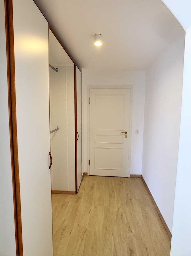 Prächtige 5.5-Zimmer-Wohnung (13)