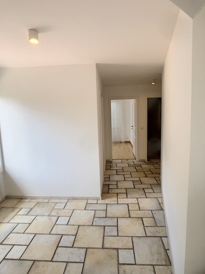 Prächtige 5.5-Zimmer-Wohnung (9)