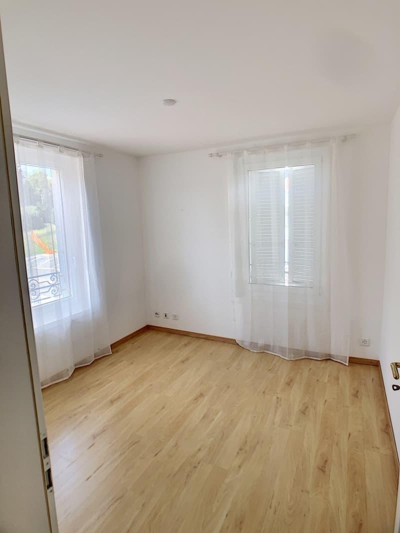 Prächtige 5.5-Zimmer-Wohnung (4)