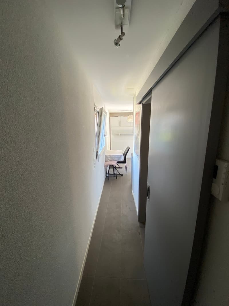 Bello studio vicino al centro città di Losanna (5)