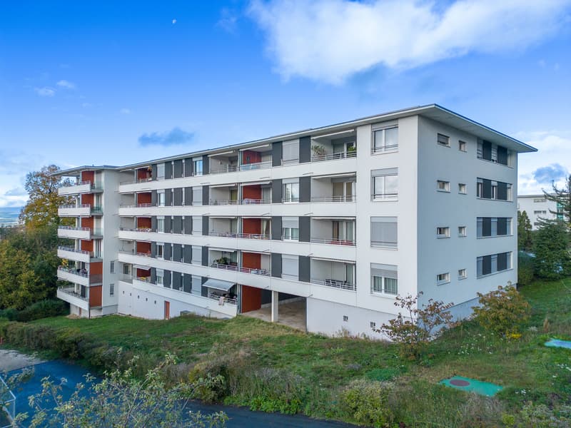Magnifique appartement avec échappée sur le lac (1)