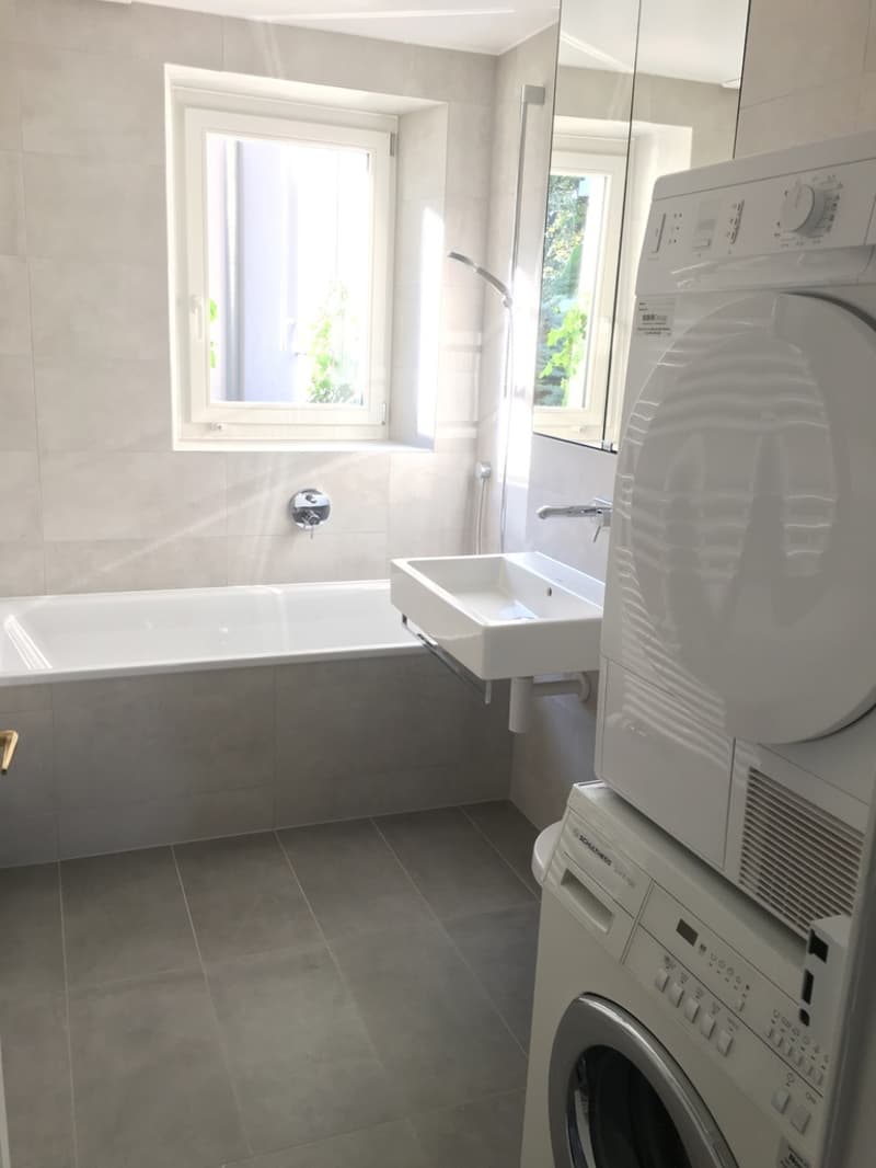 Bel appartement duplex avec vue imprenable sur le lac (8)