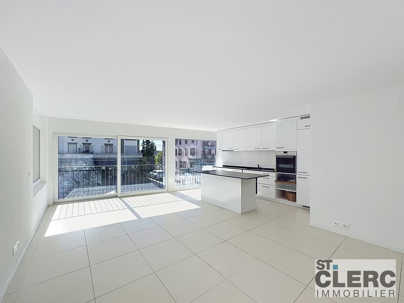 Bel appartement avec grande terrasse (2)