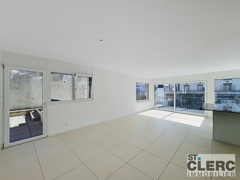 Bel appartement avec grande terrasse (4)