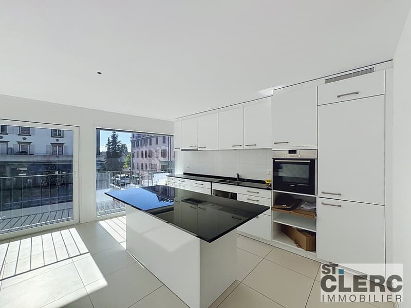 Bel appartement avec grande terrasse (8)
