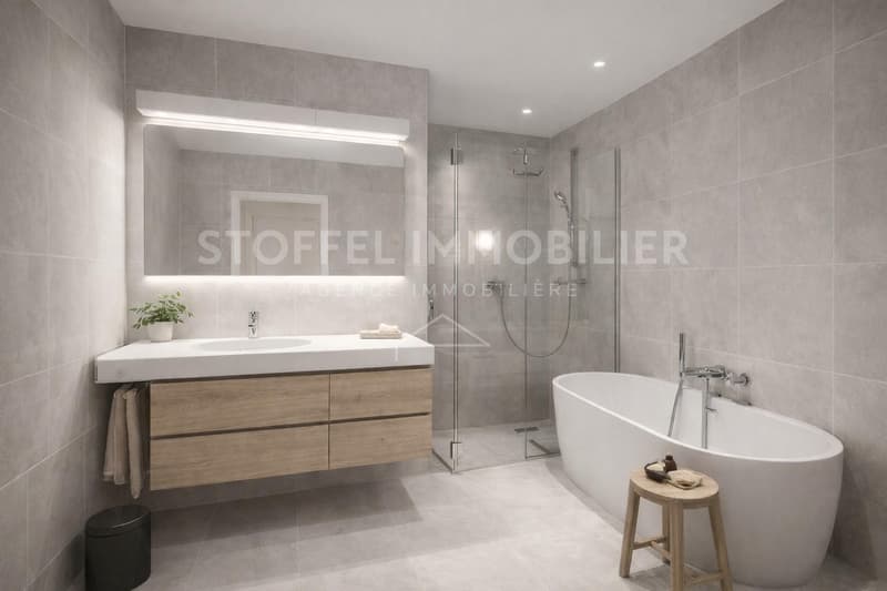 Rare attique avec vue imprenable et piscine intérieur - Petit-Saconnex - Exclusivité (9)