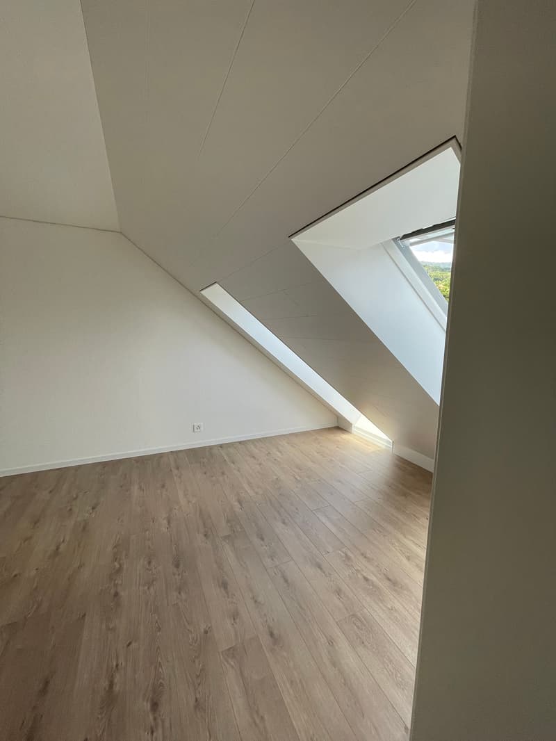 Nouvelle construction - Appartement/Duplex à louer à Champagne (12)