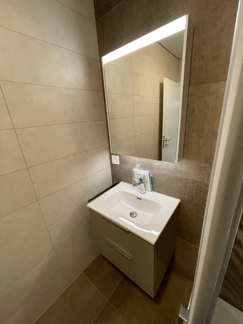 Nouvelle construction - Appartement/Duplex à louer à Champagne (8)