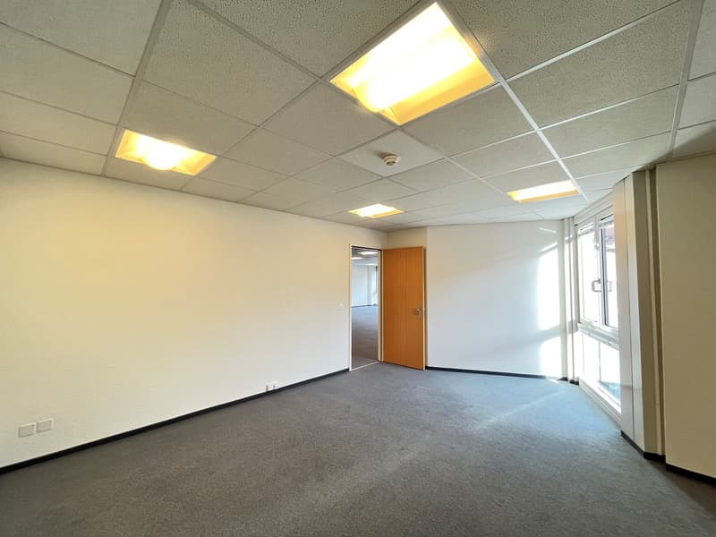 empty room, ceiling lights, white walls, grey floor, door, windows