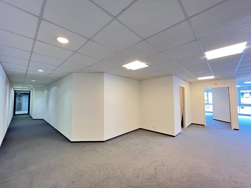 long and narrow hallway, grey floor, white ceiling with recessed lights, blank walls