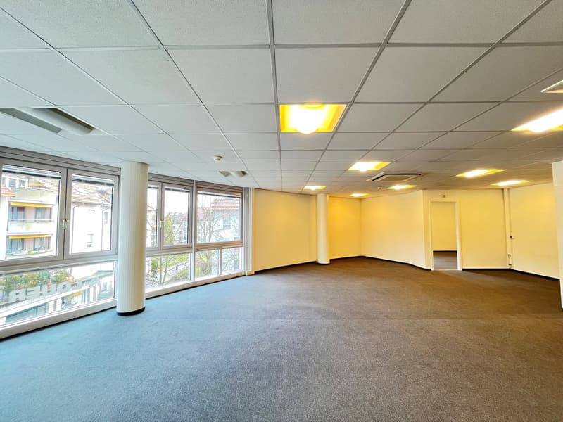 empty office room, carpeted floor, ceiling lamps, large windows