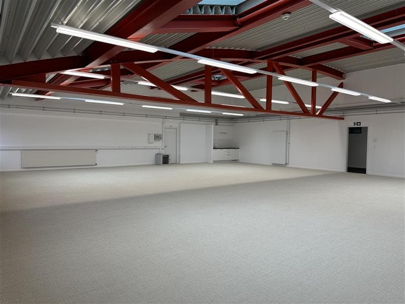 Empty room with white ceiling and floor, red metal beams, white walls, gray carpet, a few white radiators, and overhead lighting.
