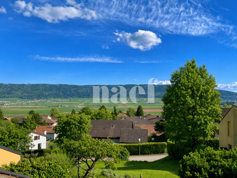 Spacious 5-room duplex (7)