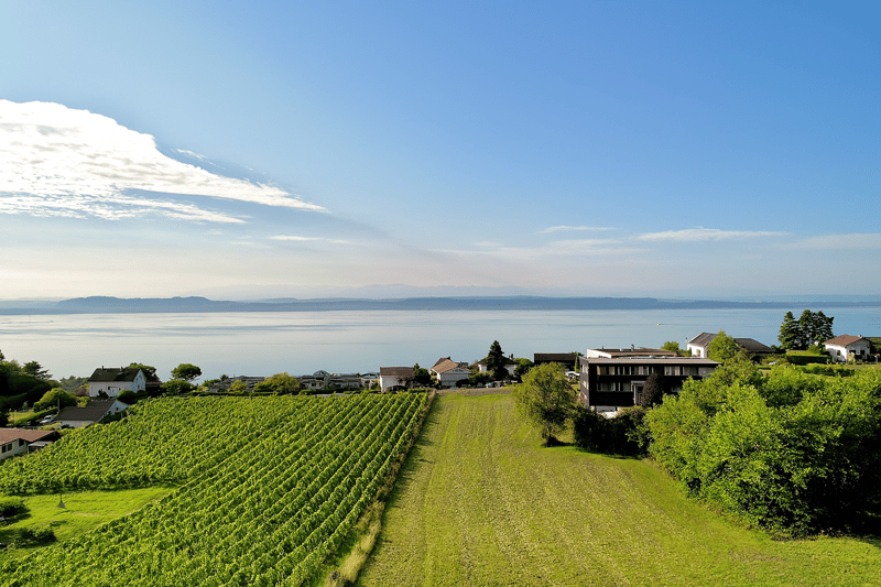 Abbaye 18 - Villas with panoramic lake view (5)