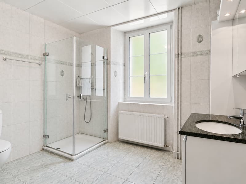 Maison individuelle composée de 2 appartements (10)