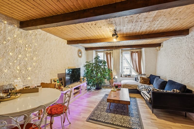 Rental income building with 3 apartments (5)