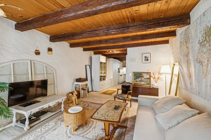Rental income building with 3 apartments (10)