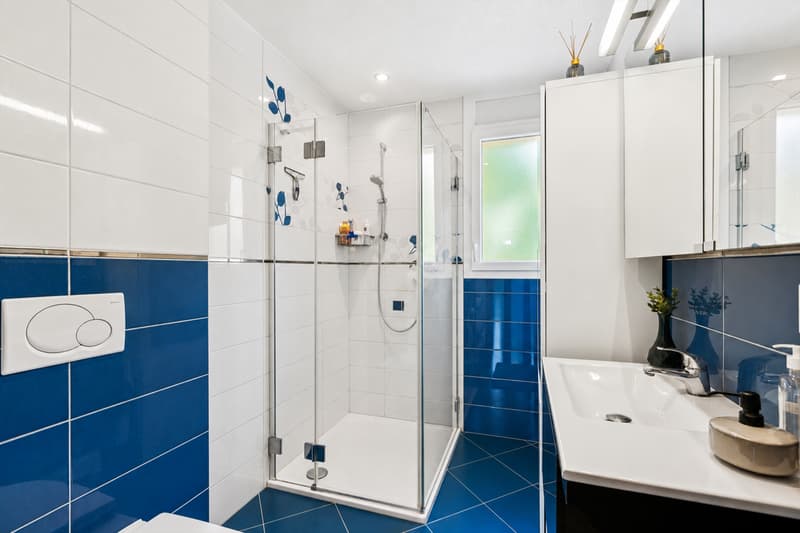 Appartement de 4.5 pièces au 1er étage (9)