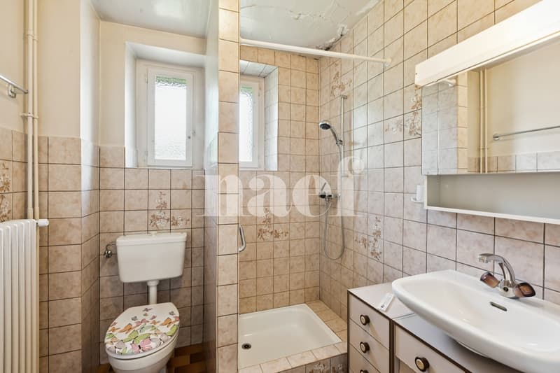 Einfamilienhaus mit 2 Wohnungen (4)