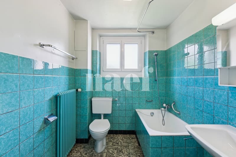 Einfamilienhaus mit 2 Wohnungen (7)