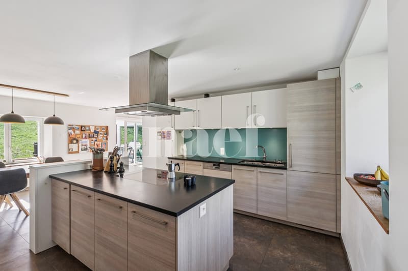 Maison individuelle avec appartement indépendant (2)
