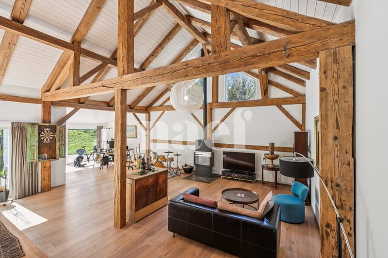 Maison individuelle avec appartement indépendant (4)