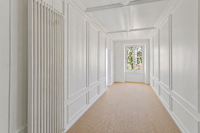 Duplex of 5.5 rooms in a historic mansion (5)