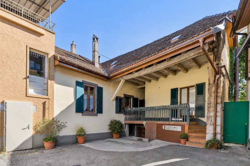 Duplex of 5.5 rooms in a historic mansion (6)