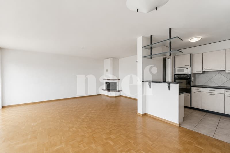 Votre première appartement aura une vue sur le Lac (4)
