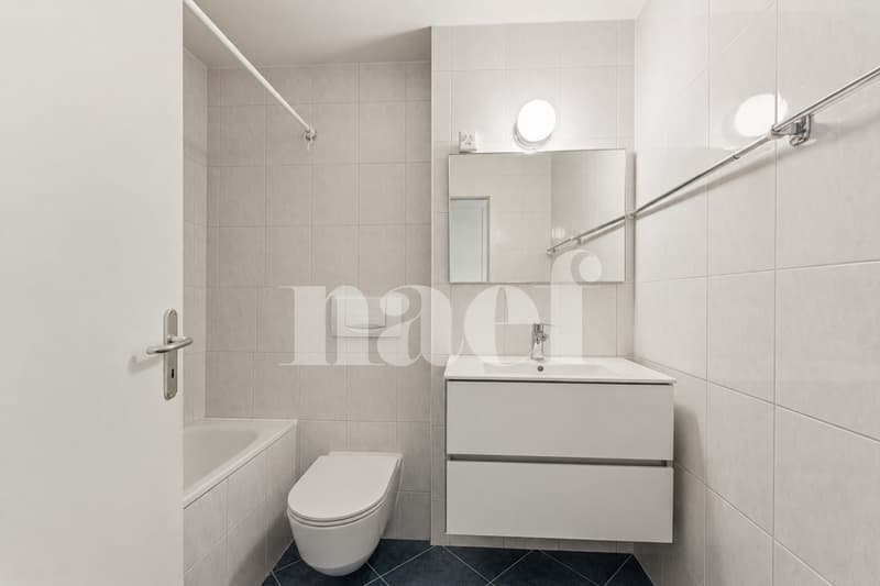 Votre première appartement aura une vue sur le Lac (10)
