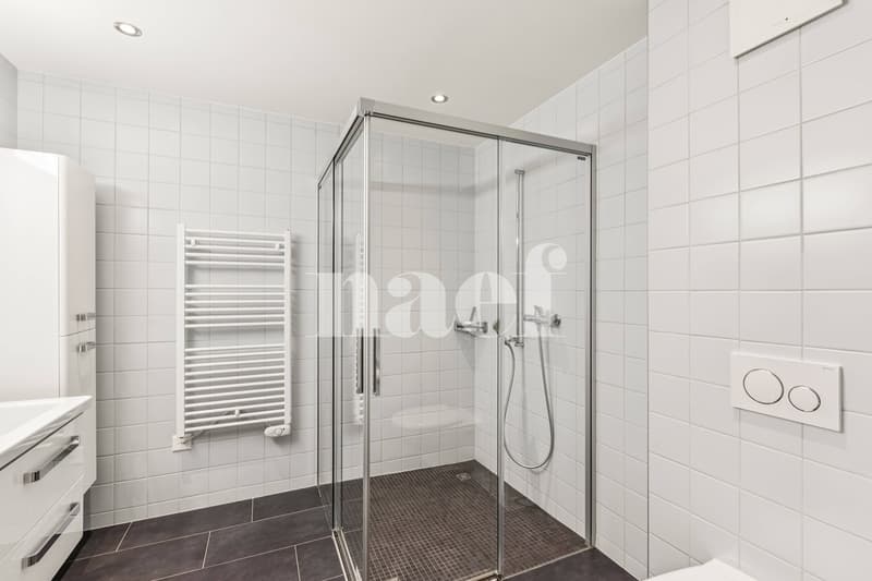 Appartement de 5.5 pièces au 2ème étage (6)