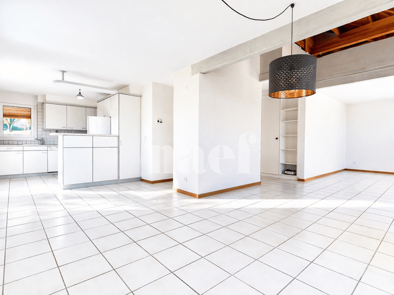 Spacieux duplex de 5 pièces (2)
