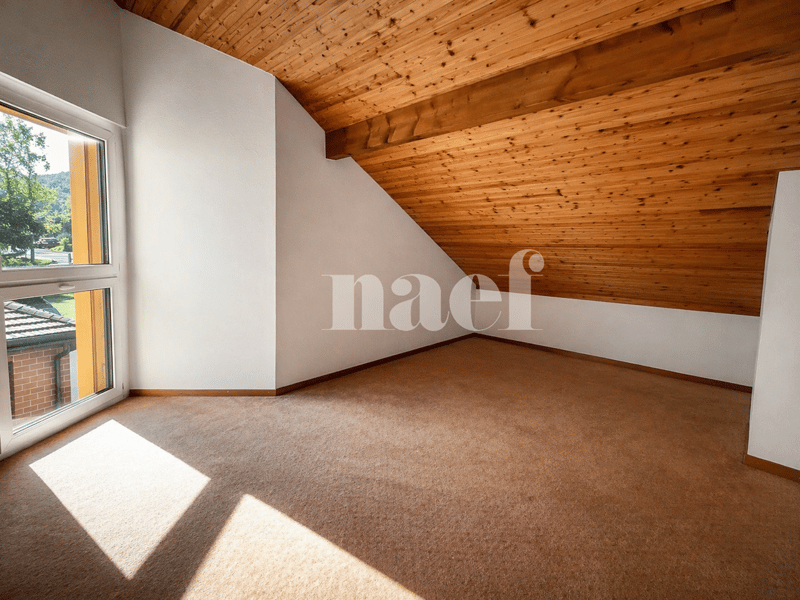 Spacieux duplex de 5 pièces (8)