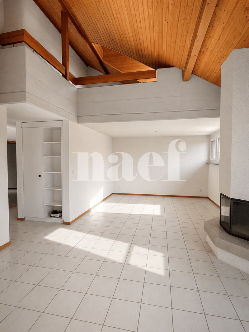 Spacieux duplex de 5 pièces (4)