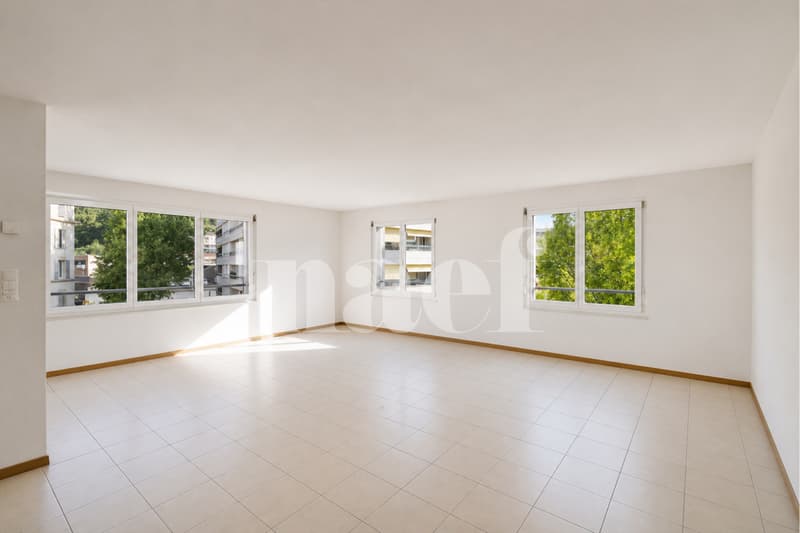 Attique de 4.5 pièces en duplex (4)