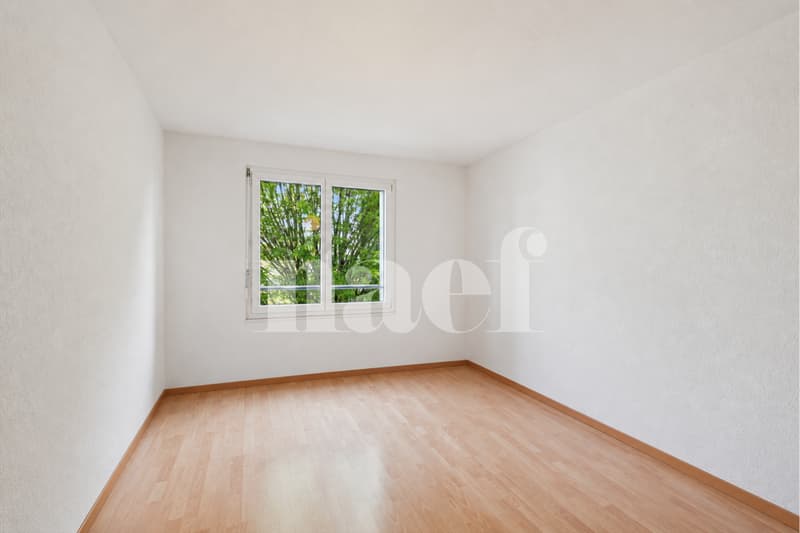 Attique de 4.5 pièces en duplex (8)