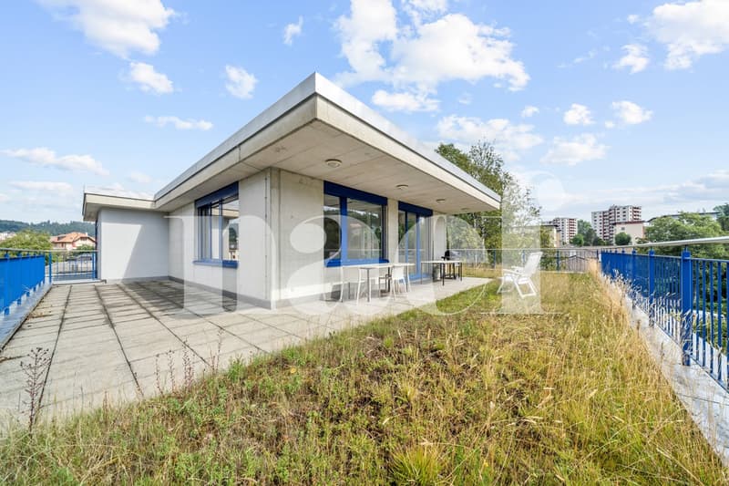 Immeuble industriel , artisanal et administratif (2)