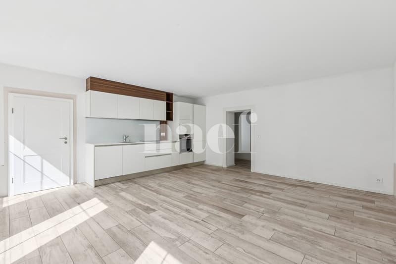 4.5 pièces rénové dans une belle bâtisse (2)