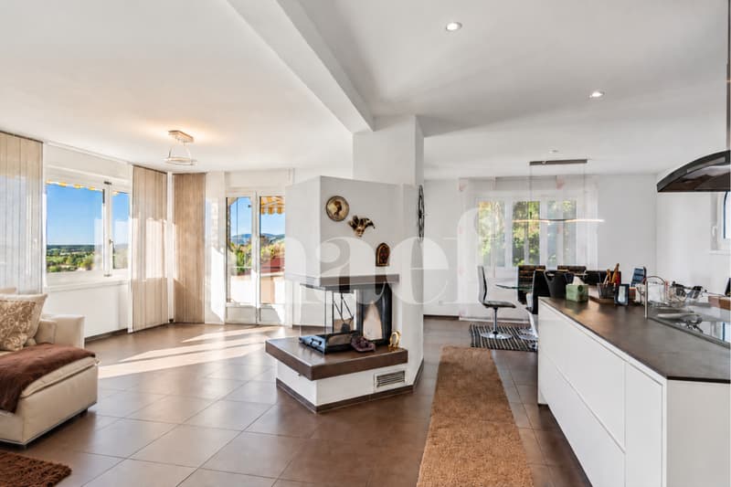 Villa individuelle cossue de 6,5 pièces avec dépendances (3)