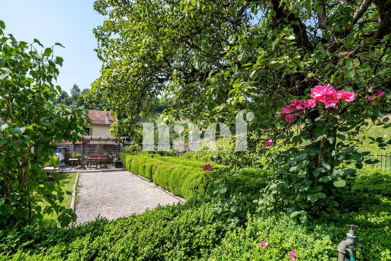 Charming and spacious house in a residential area (3)