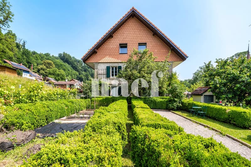Charming and spacious house in a residential area (2)