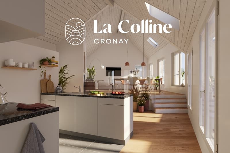 La Colline - Villa C - Villa unifamiliare nuova di 5,5 locali (5)