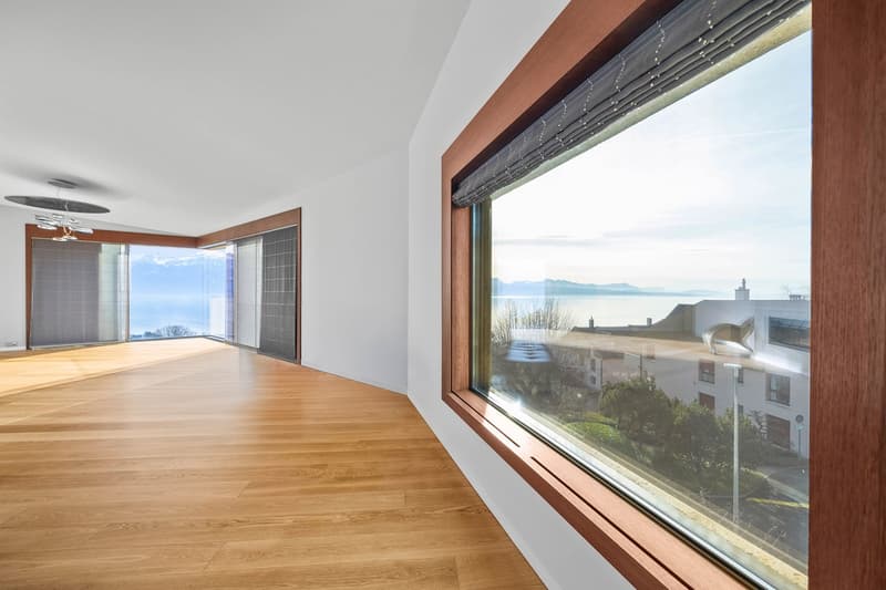 Attique contemporain avec panorama spectaculaire (4)