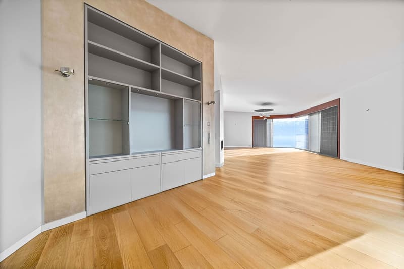 Attique contemporain avec panorama spectaculaire (2)