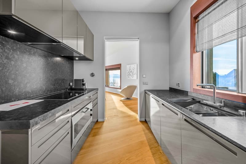 Attique contemporain avec panorama spectaculaire (6)