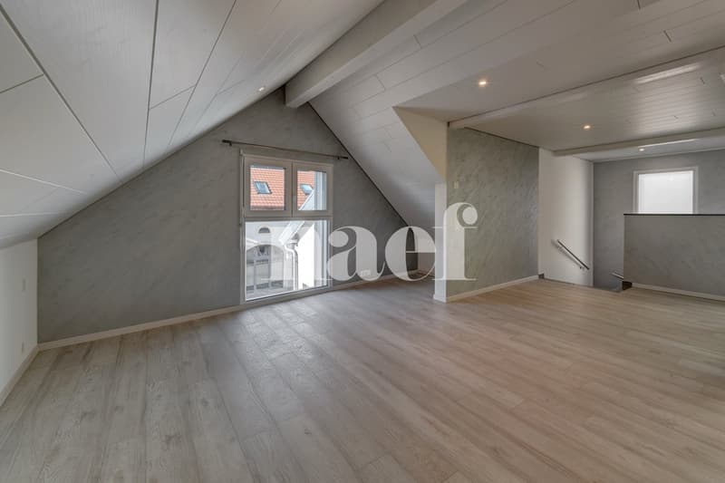 Village house with independent office space (6)