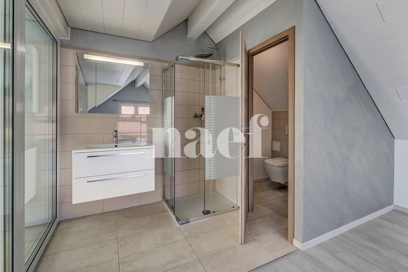 Village house with independent office space (8)